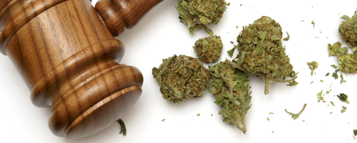 Possession of Marijuana Case Results